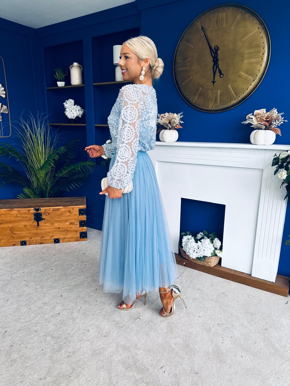 Alice 3D Sheer Top Blue - Image 10